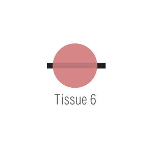 Noritake CZR Modifier Tissue T6 10g