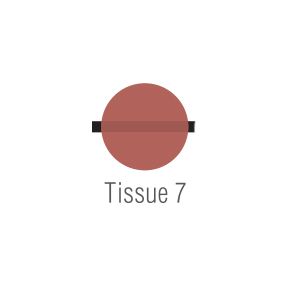 Noritake CZR Modifier Tissue T7 10g