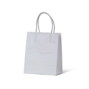 WR Twist Handle Paper Carry Bag - White