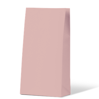 #1 Paper Gift Bag - Pink