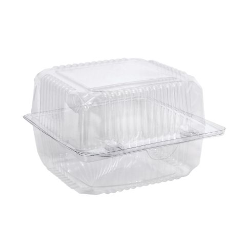 Plastic Container Large Snack Pack
