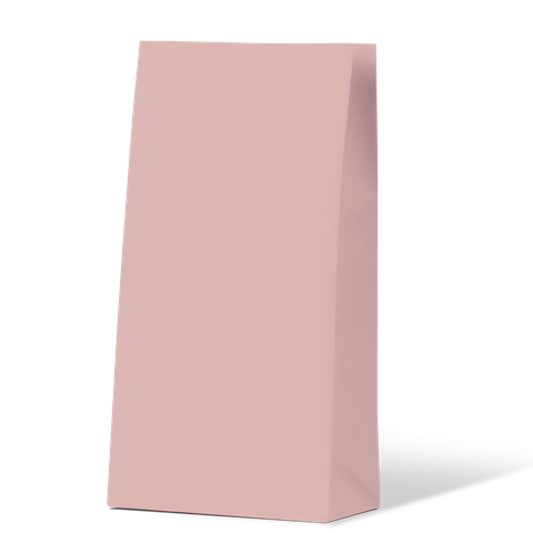#1 Paper Gift Bag - Pink