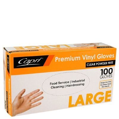 Large Clear Powder Free Vinyl Glove