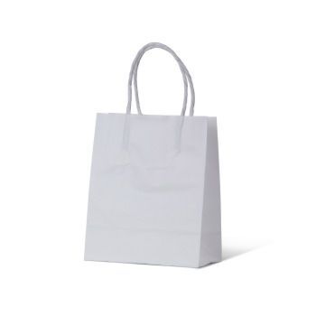 WR Twist Handle Paper Carry Bag -  White