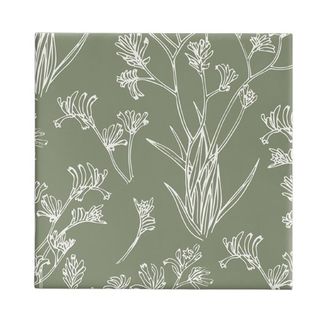 Gift Wrap - 60cm Kangaroo Paw Green