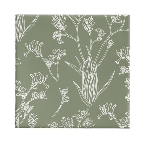 Gift Wrap - 60cm Kangaroo Paw Green