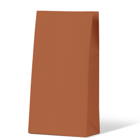 #1 Paper Gift Bag - Burnt Orange