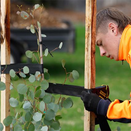 Landscaping & Urban Systems