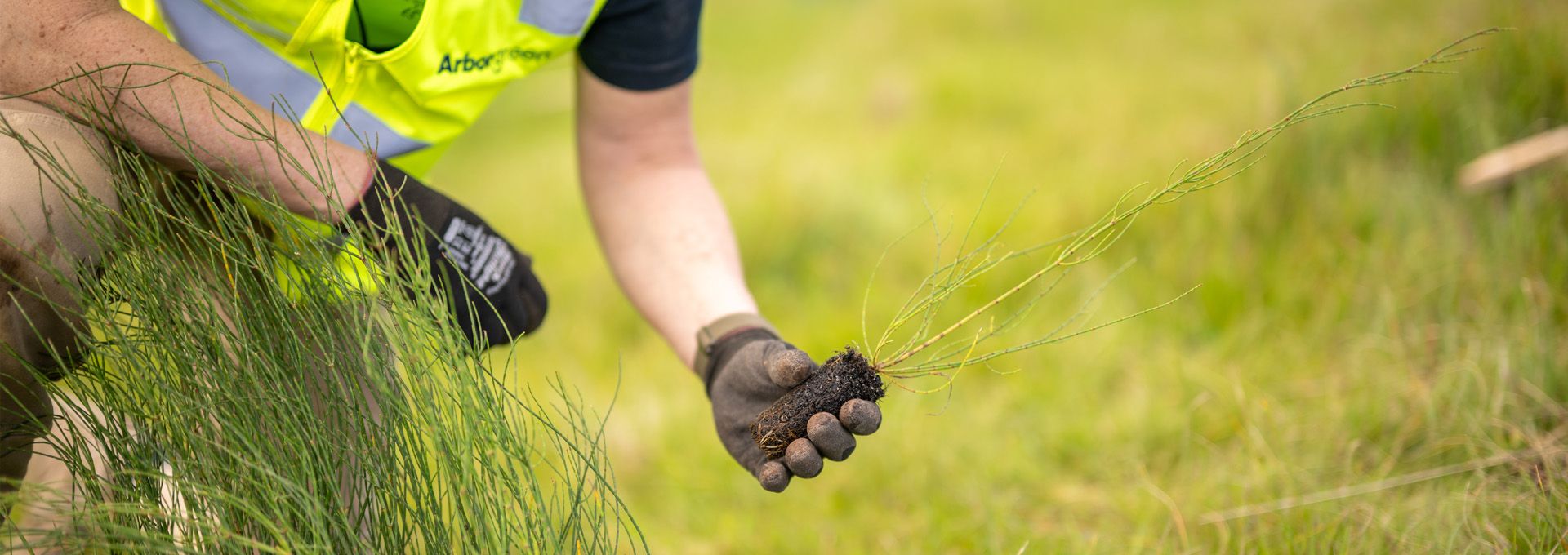 <div class='gallery-wrapper'><h3>Welcome to Arborgreen</h3><p>Australia's tree-planting supply experts for over 40 years</p><div class='button-outer'><a href='contact' class='btn btn-primary'>Get a quote</a></div></div>