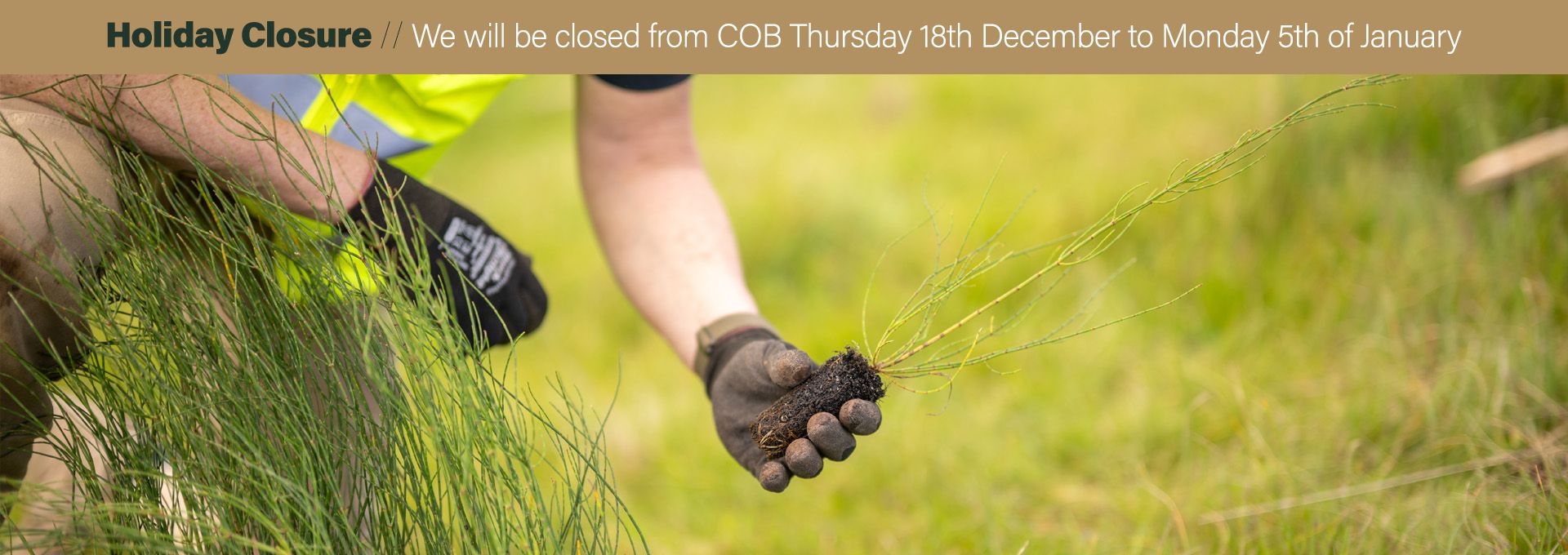 <div class='gallery-wrapper'><h3>Welcome to Arborgreen</h3><p>Australia's tree-planting supply experts for over 40 years</p><div class='button-outer'><a href='contact' class='btn btn-primary'>Get a quote</a></div></div>