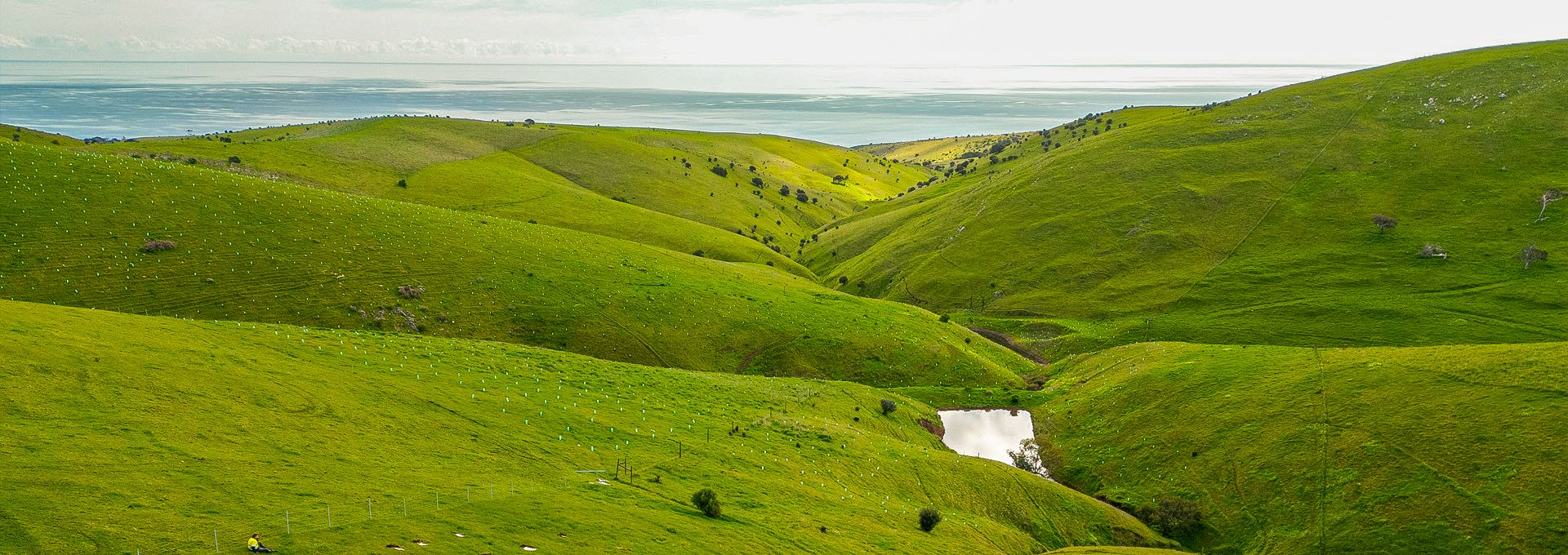 <div class='gallery-wrapper'><h3>Welcome to Arborgreen</h3><p>Australia's tree-planting supply experts for over 40 years</p><div class='button-outer'><a href='contact' class='btn btn-primary'>Get a quote</a></div></div>
