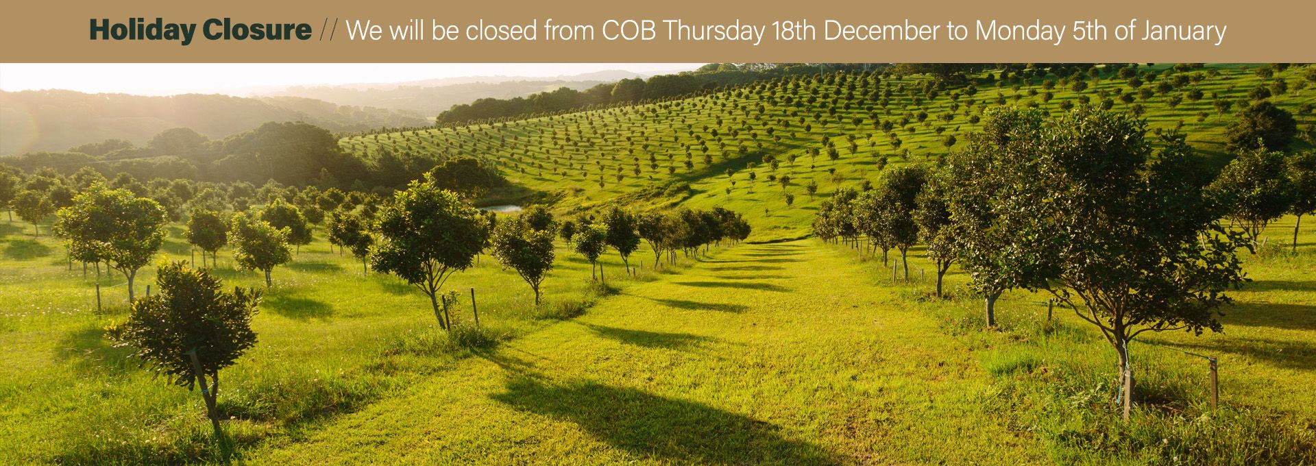 <div class='gallery-wrapper'><h3>Welcome to Arborgreen</h3><p>Australia's tree-planting supply experts for over 40 years</p><div class='button-outer'><a href='contact' class='btn btn-primary'>Get a quote</a></div></div>