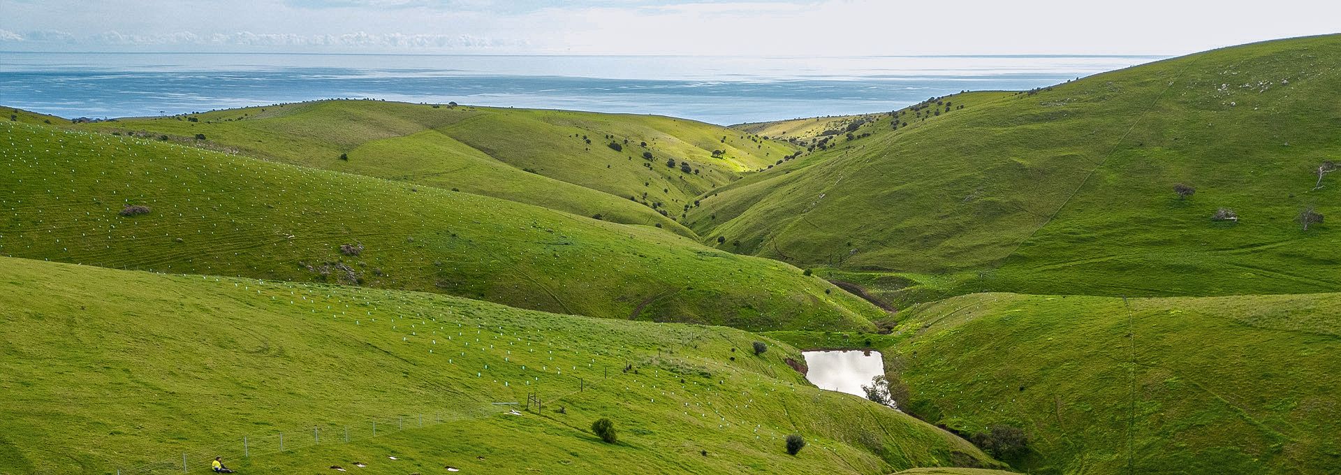 <div class='gallery-wrapper'><h3>Welcome to Arborgreen</h3><p>Australia's tree-planting supply experts for over 40 years</p><div class='button-outer'><a href='contact' class='btn btn-primary'>Get a quote</a></div></div>