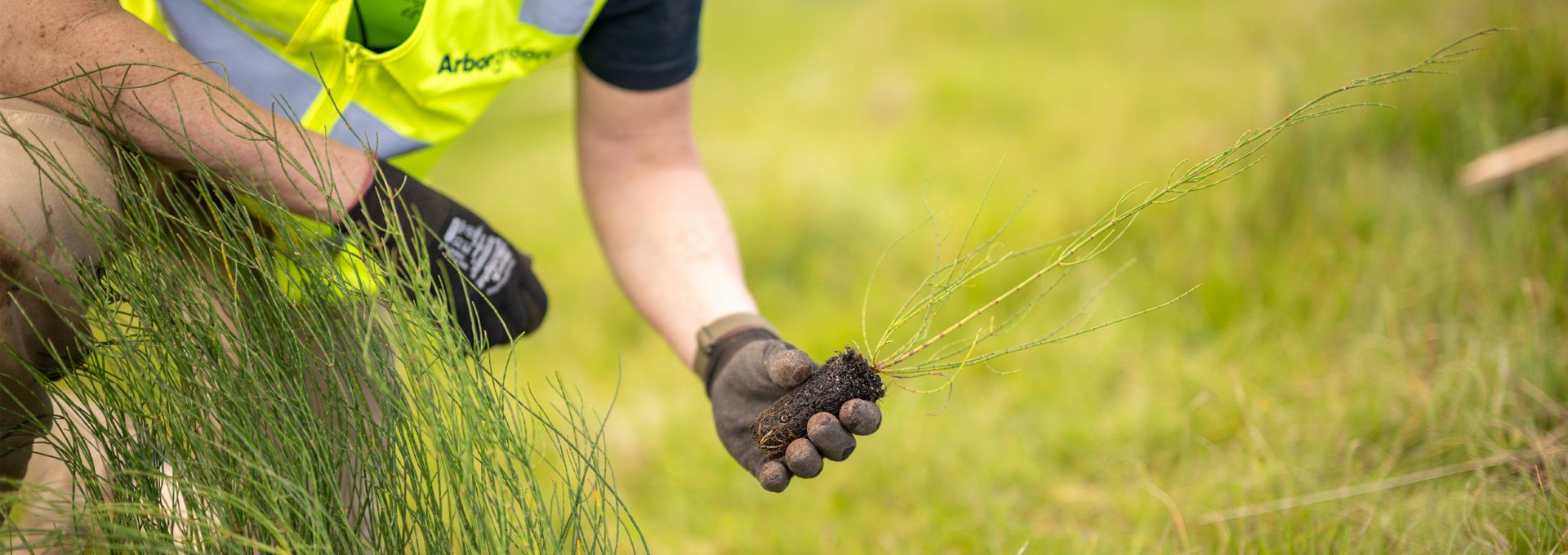 <div class='gallery-wrapper'><h3>Welcome to Arborgreen</h3><p>Australia's tree-planting supply experts for over 40 years</p><div class='button-outer'><a href='contact' class='btn btn-primary'>Get a quote</a></div></div>: