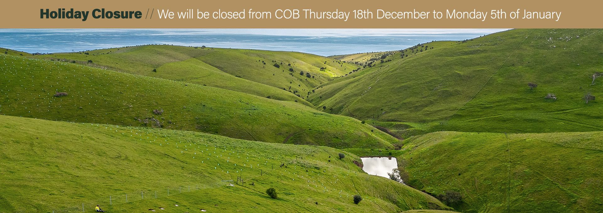 <div class='gallery-wrapper'><h3>Welcome to Arborgreen</h3><p>Australia's tree-planting supply experts for over 40 years</p><div class='button-outer'><a href='/category/101-tree-guards' class='btn btn-primary'>Shop Now</a></div></div>