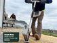 Staple Wasp Staple Gun for Erosion Control Mat