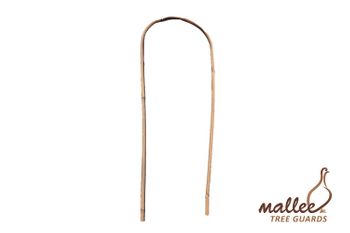 Bamboo U Shaped 60cm / 8-10mm (Bale 100)