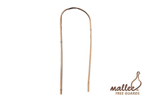 Bamboo U Shaped 60cm / 8-10mm (Bale 100)