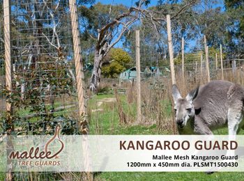Mallee Mesh Kangaroo Guard - 20/Pack