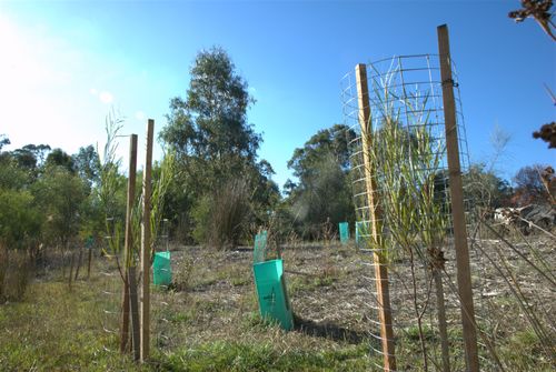 Mallee Mesh Wallaby Guard - 20/Pack