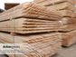 Hardwood Stakes for Large Trees