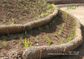 EKO™ Coir Log Round 20cm diameter x 2.0m Long