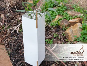 Mallee 10L Carton Cardboard Treeguard - 150/Box