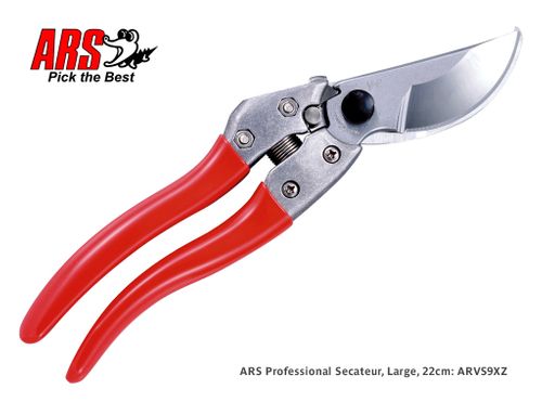 Secateurs Bypass PG 20 - PG 20 bypass secateurs: precise and durable