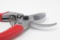 ARS Professional Bypass Secateurs