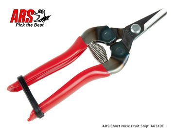 ARS Shortnose Snip