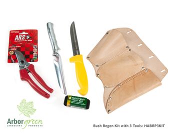 Bush Regenerators Kit with 3 Tools
