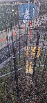 Willunga 1,400mm Steel Mesh Treeguard, Powdercoated Black