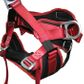BUCKINGHAM Aussie Master Harness - Medium