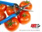 ARS Long Nose Fruit Snip - Blue Grip