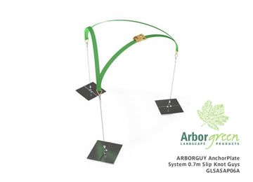 Arborguy AnchorPlate Guying System with 3 x 0.7m Slip Knot Guys