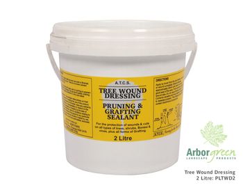 Why Don't Arborists Paint Cuts with Wound Dressing? — Arborsmith