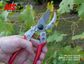 ARS Anvil Secateurs - Small, 18cm