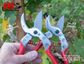 ARS Anvil Secateurs - Small, 18cm