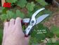 ARS Anvil Secateurs - Small, 18cm