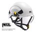 Petzl Vizir Eye Shield for Vertex Helmet - NEW Type for A010CA