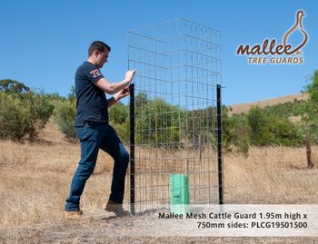 Mallee Mesh Cattle Guard Kit, 1.95m H x 750mm, 5mm wire, 2 panels, 2 1.8star pickets, 15m barb wire