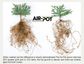 AIR-POT Root Pruning Tree Pot Kit 20L, 355mm diam, 315mm high