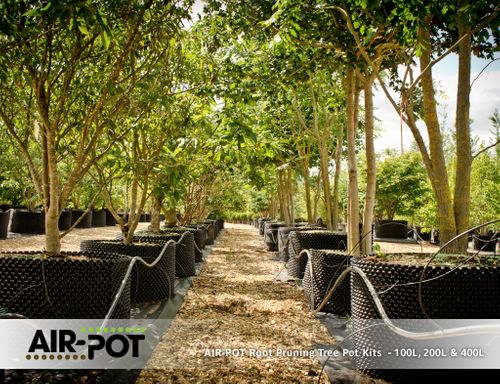 AIR-POT Root Pruning Tree Pot Kit 200L, 715mm diam (w/o base), 495mm high