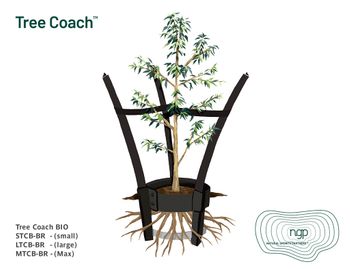 Tree Coach Bio - Large (1 base + 3 stakes)