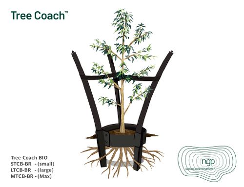 Tree Coach Bio - Small (1 base + 3 stakes)