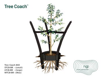 Tree Coach Bio - Small (1 base + 3 stakes)