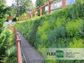 Flex MSE Vegetated Wall System - Container and Locking Plate