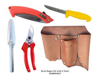 Bush Regenerators Kit with 4 Tools