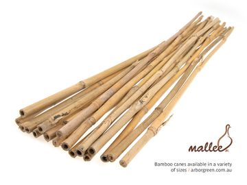 Bamboo Canes 12-14mm x 1200mm Long - 250/Bale