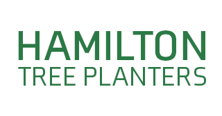Hamilton Stainless Steel Tree Planters